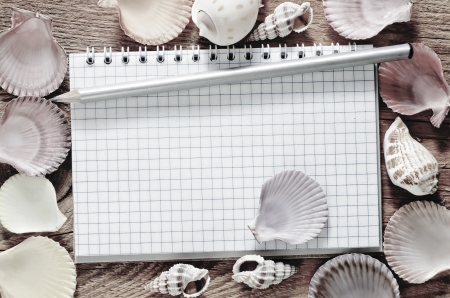 shells and noteの写真素材