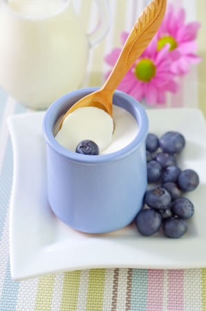 yogurt with blueberryの写真素材