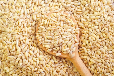 wheatの写真素材