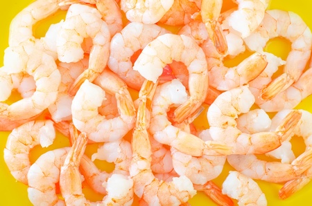 shrimpsの写真素材