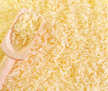 raw riceの写真素材