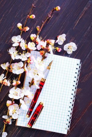 backgroundの写真素材