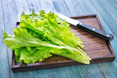 saladの写真素材