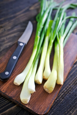 green onionの写真素材