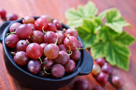 gooseberryの写真素材