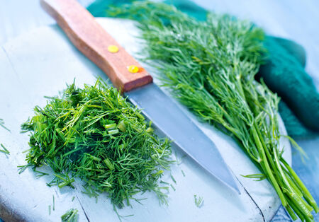 fresh dillの写真素材