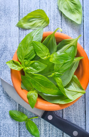 fresh basilの写真素材