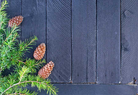 christmas decorationの写真素材