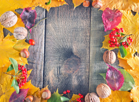 autumn harvest on wooden の写真素材