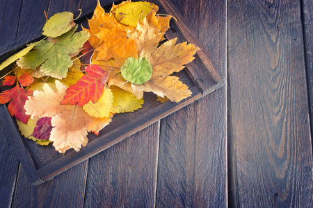 autumn leaves  on the wooden , yellow leaves