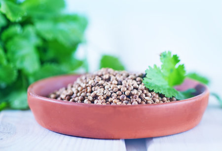 coriander in bowl and on a tableの写真素材