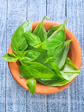 fresh basil in bowl and on a tableの写真素材