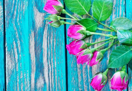 red roses on a tableの写真素材