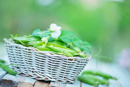 green peas in basket and on a tableの写真素材
