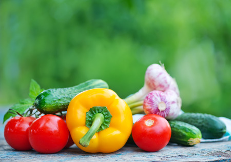 raw vegetables on a table in the gardenの写真素材
