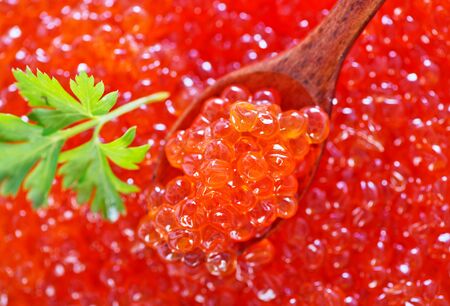 red salmon caviar, background from salmon caviarの写真素材