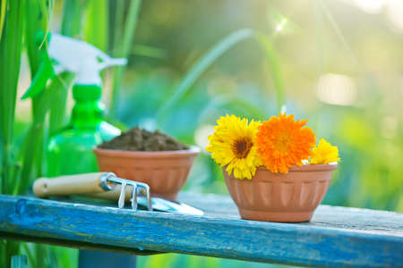 flowers and garden tools on the wooden tableの写真素材