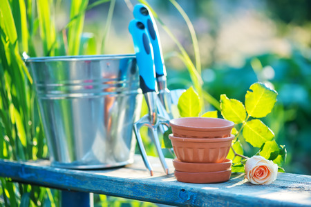 garden tools on the wooden background in the gardenの写真素材