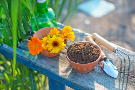 flowers and garden tools on the wooden tableの写真素材