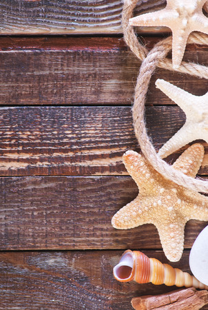 color sea shells and starfish, summer backgroundの写真素材