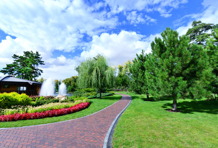 summer park in Ukraine, beautiful green parkのeditorial素材