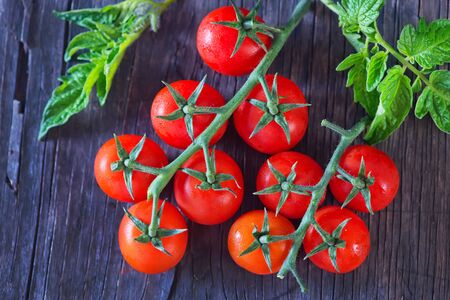 red tomato cherry, fresh tomato on a tableの写真素材
