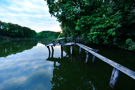 summer lake at sunset in Crimea, lake in Forestの写真素材