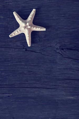 starfish on wooden background, sea shell on a tableの写真素材