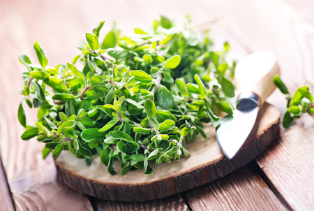 fresh aroma herb,marjoram on a wooden rustic tableの写真素材