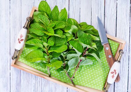 fresh mint and knife on the white tableの写真素材
