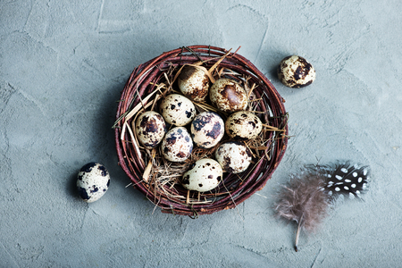 raw quail eggs on nest and on a tableの写真素材