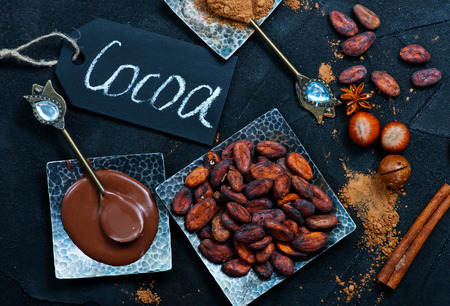 cocoa beans on the plate, stock photoの写真素材