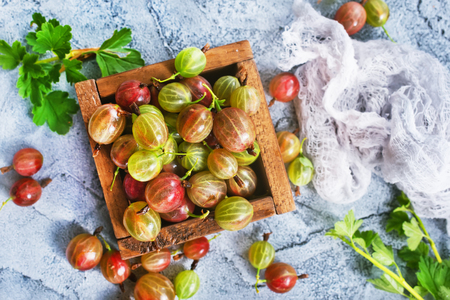 gooseberry in wooden box and on a tableの写真素材