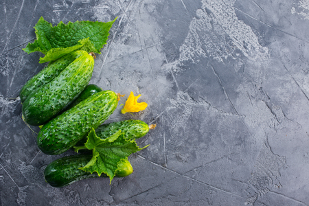 fresh cucumbers on the wooden table, stock photoの写真素材
