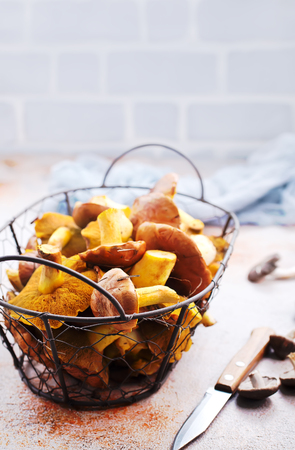 autumn mushrooms, raw mushrooms on a table, stock photoの写真素材