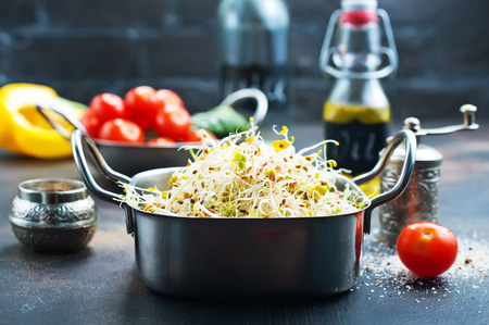 Raw fresh young organic sprouts in bowlの写真素材