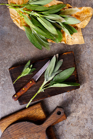 Fresh aromatic sage on old gray backgroundの写真素材