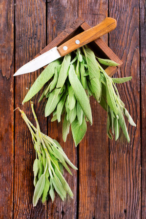 Salvia officinalis. Sage leaves on old wooden table. Garden sage.の写真素材