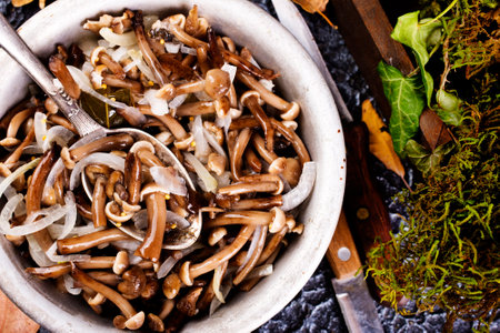 Wild pickled mushroom in the bowlの写真素材