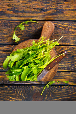 Fresh arugula leaves, fresh rucolaの写真素材