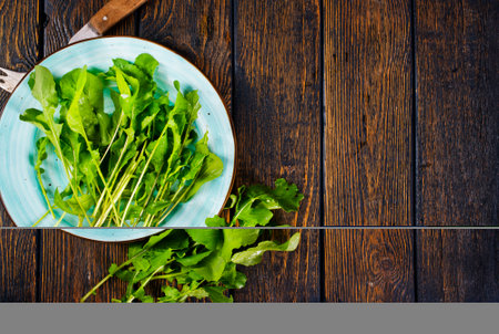 Fresh arugula leaves, fresh rucolaの写真素材