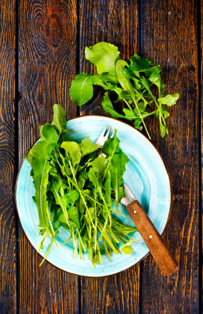 Fresh arugula leaves, fresh rucolaの写真素材
