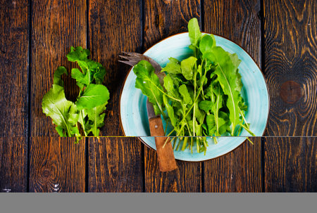 Fresh arugula leaves, fresh rucolaの写真素材
