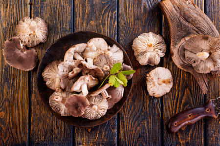 Raw mushrooms on plate on a dark wooden board.の写真素材