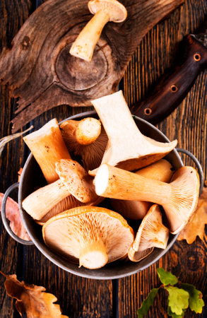 raw mushrooms, fresh mushrooms on wooden tableの写真素材