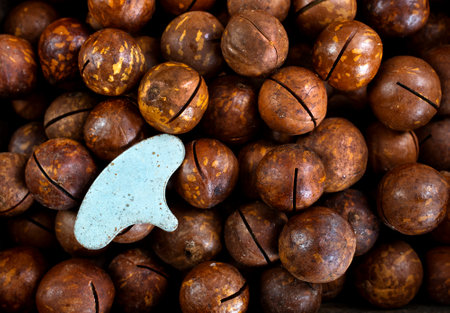 a pile of roasted macadamia nut