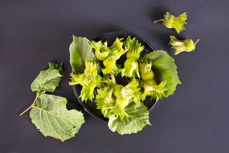 fresh hazelnuts on black tableの写真素材