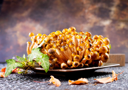 beautiful autumn honey fungus, raw mushrooms on a tableの写真素材