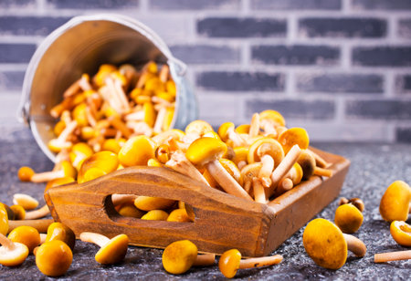 Edible honey mushrooms on a tableの写真素材