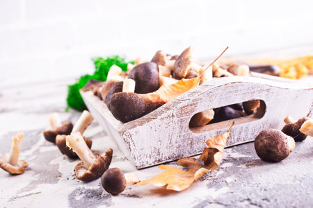 Mushrooms Tricholoma on kitchen table, edible mushroom in the autumn forest.の写真素材